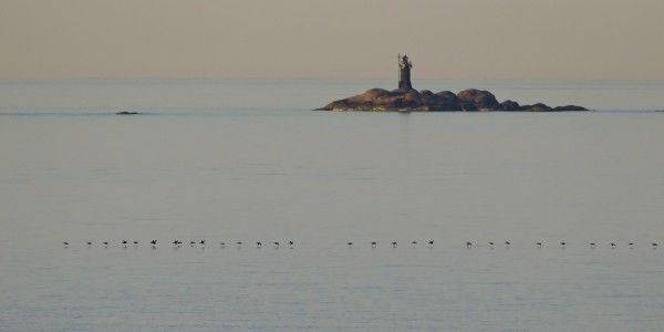 sepelhanhi_01_Korppoo_05_12