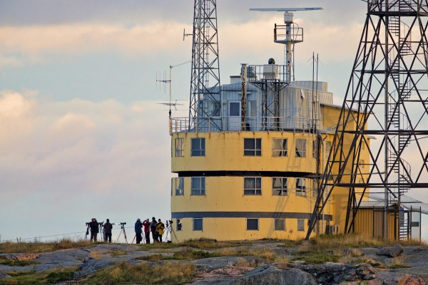 staijarit_01_Korppoo_10_12