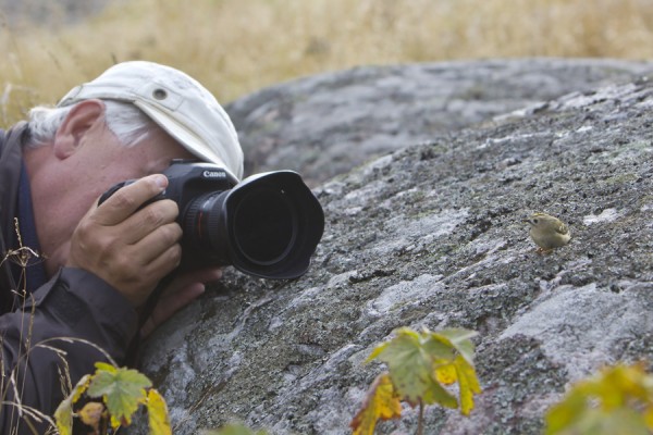 hippiainen_26_Korppoo_09_12