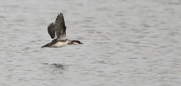 uivelo_13_Korppoo_01_13