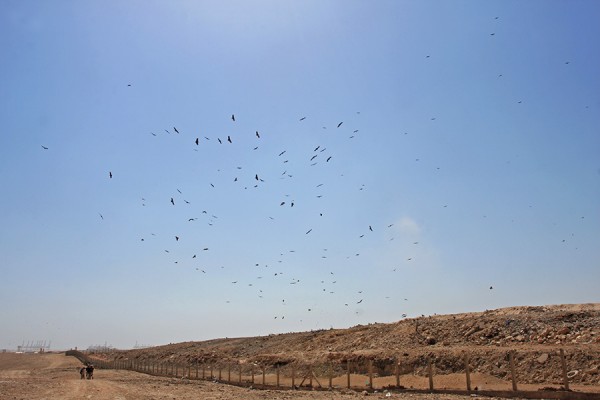 arokotka_02_Oman_02_13