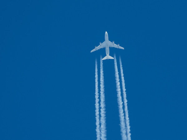 TÄLLAINENKIN LINTU TULI KUVATTUA LAIVALTA, ETÄISYYTTÄ N. 10 KM