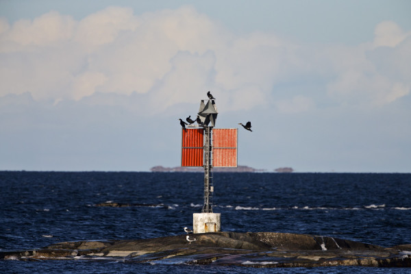 MERIMETSOJA VIIHTYY UTÖN SATAMAN LINJATAULULLA