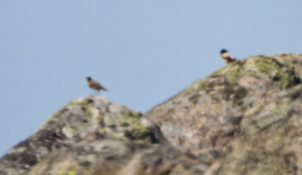 KOVASSA LÄMPÖVÄREILYSSÄ KAUKAA OTETTU KUVA VANHASTA PUNAKOTTARAISESTA