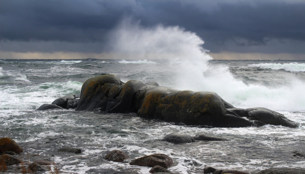 ETELÄNIEMEN TYRSKYJÄ AAMULLA