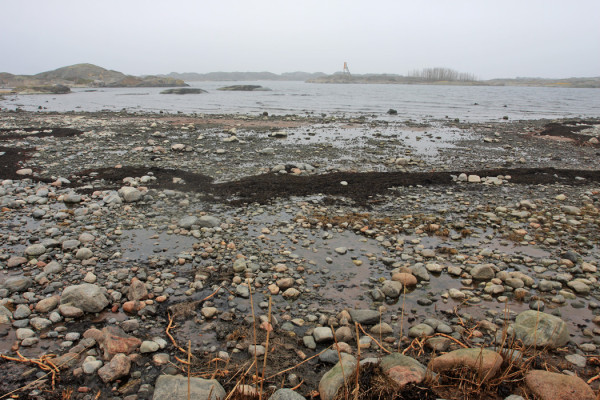 ITÄRANTA ODOTTELEE VIELÄ MM. TYLLEJÄ JA RISTISORSIA