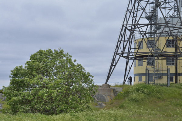 MEIKÄLÄINEN KESÄISELLÄ AAMUSTAIJILLA LUOTSIASEMALLA (Kuva: Raimo Sundelin)