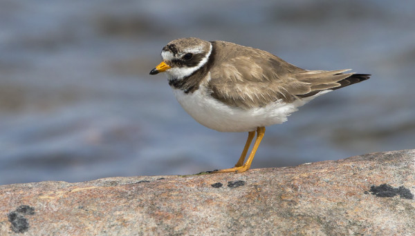 TYLLITKIN VAIHTAVAT KULUNUTTA PUKUAAN TUOREESEEN