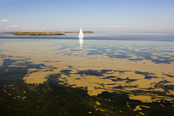 LEVÄKASAUMIA ON JOKA PUOLELLA