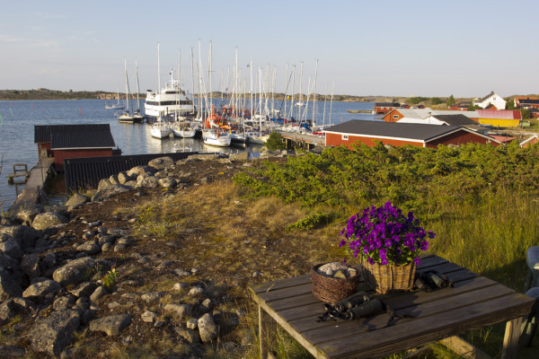 TALOMME EDUSTALLA ON VAIHTUVA VENENÄYTTELY NÄIN KESÄISIN