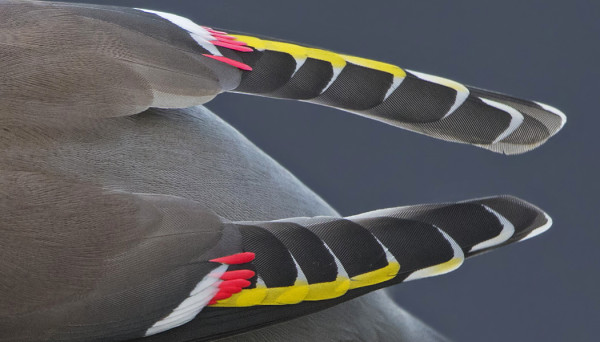 TILHI ON AINA YHTÄ KUVAUKSELLINEN