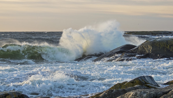 TUULTA ON EDELLEEN RIITTÄNYT