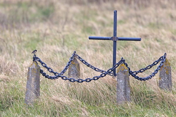 MUSTAPÄÄTASKU UTÖN KÄVIJÖILLE TUTUSSA MAISEMASSA