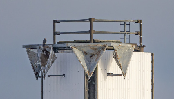 ... JA VÄHÄN LÄHEMPÄÄ