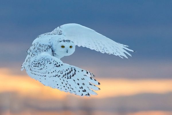 AAMU- JA ILTAVALOT HYÖDYNSIMME TARKKAAN