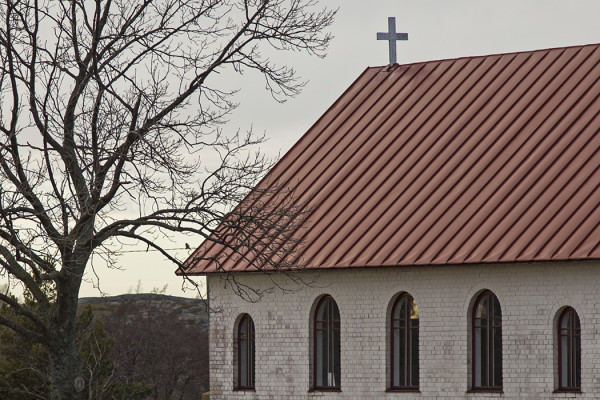 NORMAALIOBJEKTIIVILLA OTETTU KUVA ASPÖN HIIRIPÖLLÖSTÄ (KIRKON RÄYSTÄÄN JA PUUN VÄLISSÄ LANGALLA)