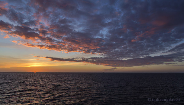 AURINGONLASKU MERELLÄ (kuva: Outi Sarjakoski)