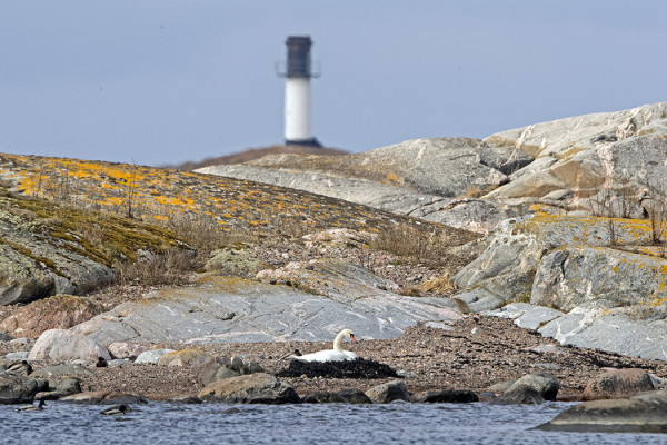 KYHMYJOUTSEN HAUTOO UTÖN LOUNAISKÄRJESSÄ