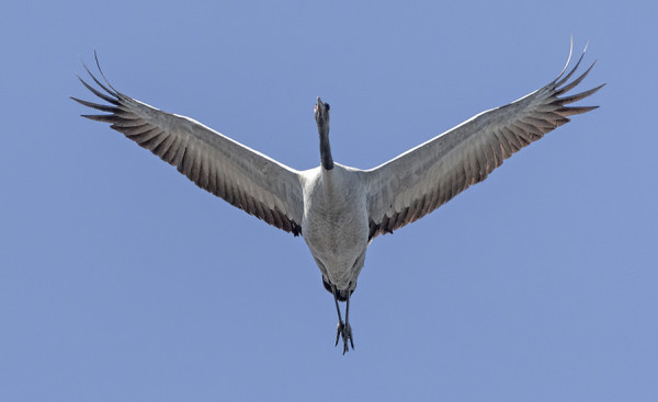 LUPPOKURKIA NÄKEE SILLOIN TÄLLÖIN