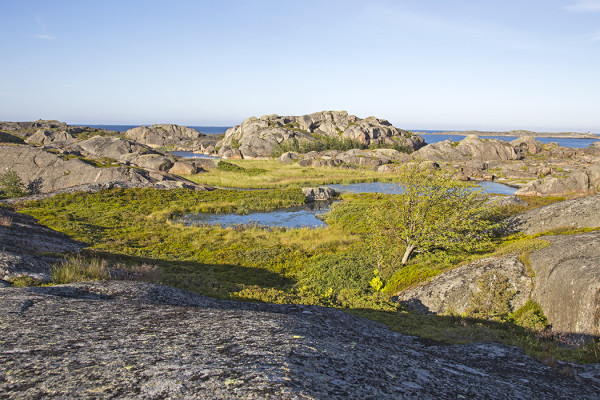HUUHKAJAN VALTAKUNTAA KOBBANILLA