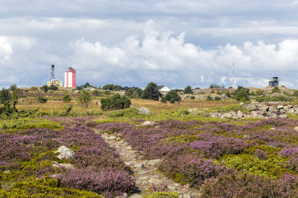 ELOKUISTA NÄKYMÄÄ SAAREN ITÄOSASTA