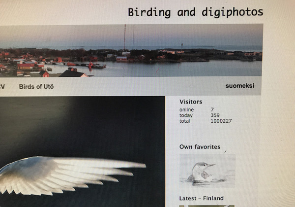 MILJOONA MENI POIKKI TÄNÄÄN AAMULLA