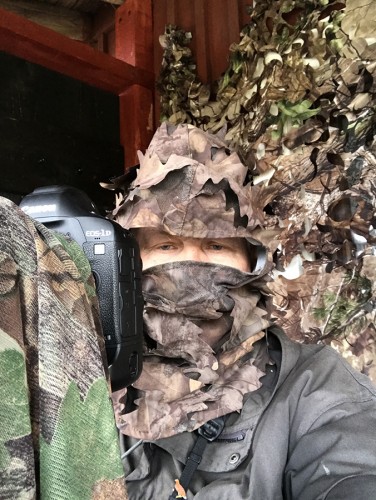 LINTUJA KUVATESSA KANNATTAA JOSKUS NAAMIOITUA