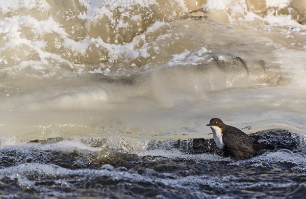 JÄÄSSÄ NÄKYVÄT ILMANSAASTEETKIN