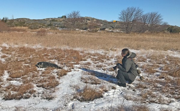 kuutti_02_Korppoo_04_18