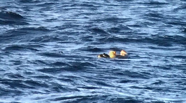 KYHMYHAAHKASTA EI SAATU ETÄISYYDEN TAKIA KUNNON KUVAA, TÄSSÄ SURKEA SKOUPPIKUVA KAUKOPUTKELLANI