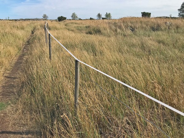 RUMA VALKOINEN NAUHA ITÄNIITYN LAMMASLAITUMEN YMPÄRILLÄ