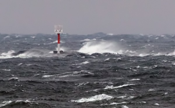 BÅDANILLA PYSYTTELI MUUTAMA MERIMETSO KOVASTA MERENKÄYNNISTÄ HUOLIMATTA