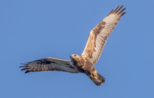 PIEKANA MUUTTI AIVAN PÄÄLTÄ