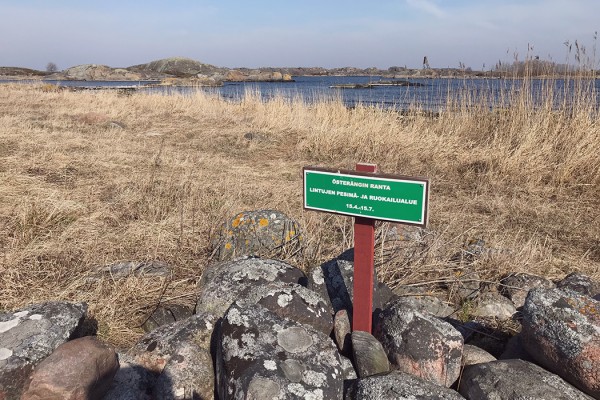 ITÄRANNALLA EI OLE SUOTAVAA ENÄÄ KULKEA RANNALLA VAAN KATSOA LINTUJA VAIN NS PUUPENKKIEN LUOTA.