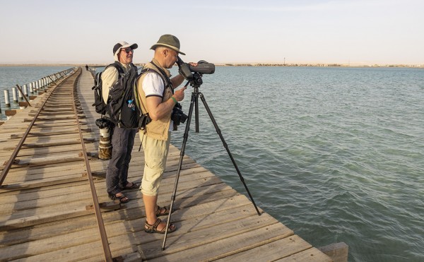 KARI JA MIKKO OLIVAT TAATUN TUTTUA, MUKAVAA JA OSAAVAA MATKASEURAA