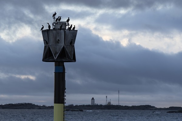 MERIMETSOT VIIHTYVÄT TUTKAMERKEILLÄ