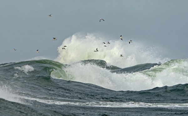 TALVEA HALLITSIVAT KOVAT TUULET JA VOIMAKAS MERENKÄYNTI