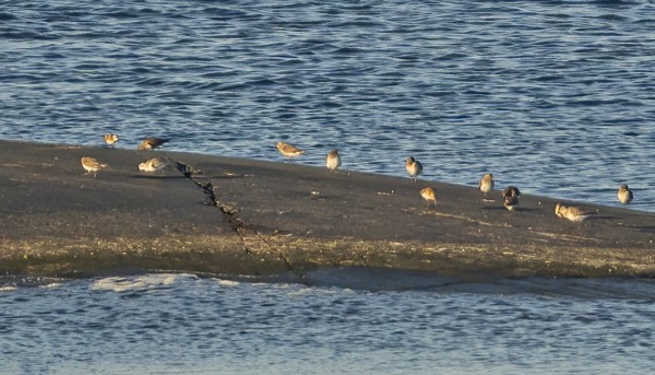 PULMUSSIRRI OLI KAUKANA KUVATTAVAKSI, MUTTA OLKOON