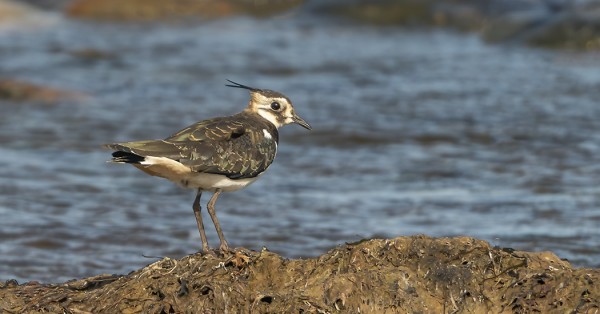RANNAN LEVÄVALLIT EIVÄT OLE KOVIN KUVAUKSELLISIA