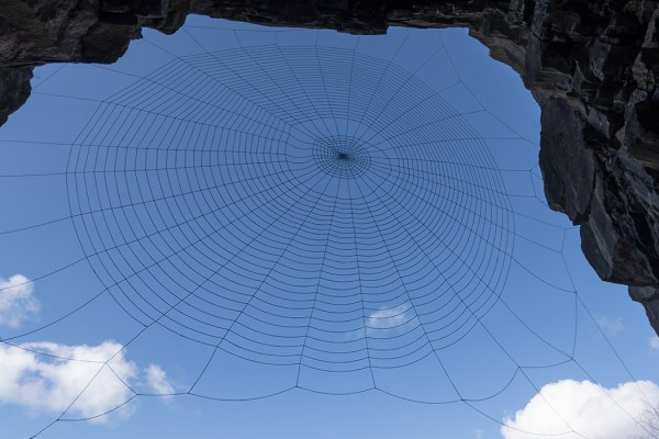 OUTIN SUUNNITTELEMA JA TEKEMÄ "NETWORK" TURUSSA