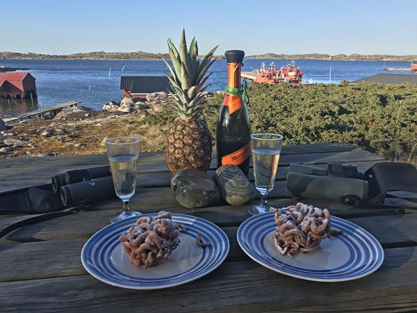 VAPPUAATTOA VIETETTIIN KAHDESTAAN KOTONA