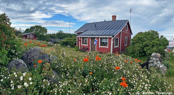 PIHAMMEKIN ON RUNSAS TÄNÄ VUONNA