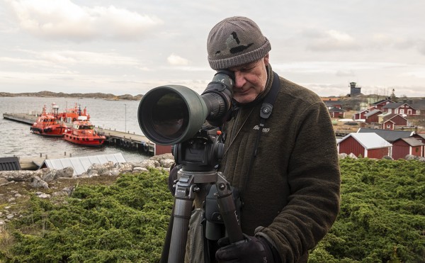 115-MILLIN VALOVOIMAISELLA SWAROVSKILLA OLI HYVÄ STAIJAILLA VÄHÄN HÄMÄRÄMMÄSSÄKIN