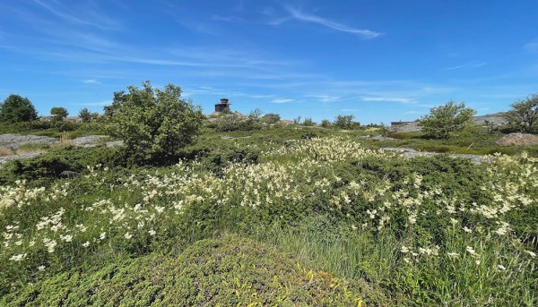 KIRJOKERTTUJEN PESIMÄMAASTOA