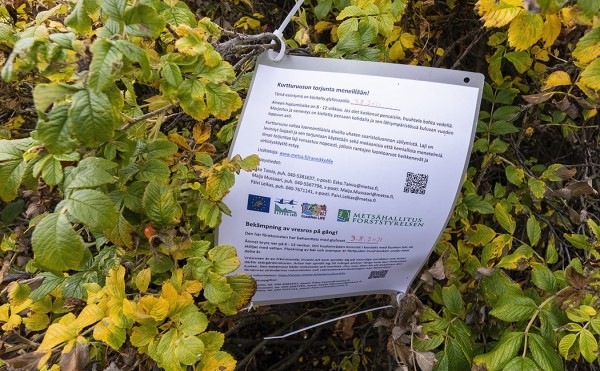 kurtturuusu_02_Utö_08_21