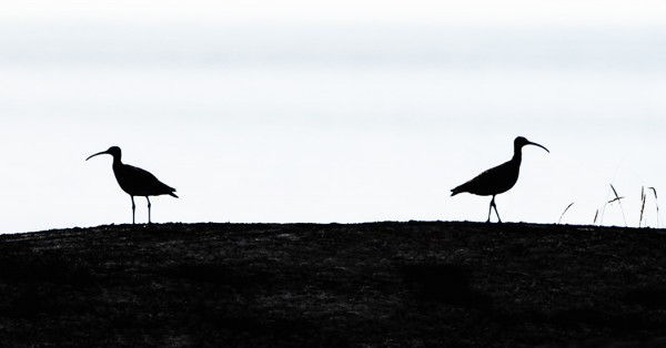 PIKKUKUOVIEN MUUTTO ALKAA OLLA JO OHI