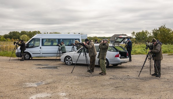OLTIIN LIIKKEELLÄ KAHDELLA AUTOLLA