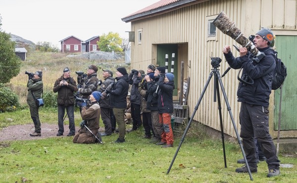 tulipääpaikka_02_Korppoo_10_21