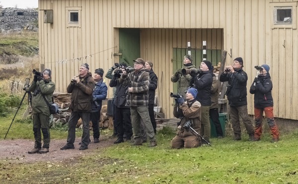 LINTUVÄKEÄ OLI TAVANOMAISEN RUNSAASTI