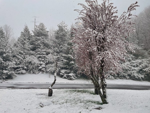 ESPANJAN LUMINEN MAISEMA YLLÄTTI TULOPÄIVÄNÄ